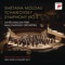 Symphony No. 5 in E Minor, Op. 64: IV. Finale. Andante maestoso - Allegro vivace artwork