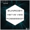 Possession (Rick Dyno Remix) - Herve Veig lyrics