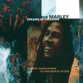 Bob Marley & The Wailers - So Much Trouble In The World