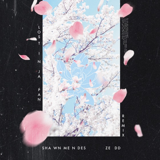 Cover artwork for Lost in Japan