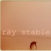 Ray Stable Story