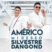 Mi Deseo (feat. Silvestre Dangond) artwork