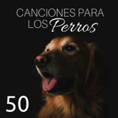 50 Canciones para los Perros: Música Relajante para Perros con los Sonidos de la Naturaleza artwork