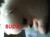 Supa - EP, 2011