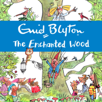 Enid Blyton - The Enchanted Wood (Abridged) artwork