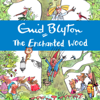 Enid Blyton - The Enchanted Wood artwork