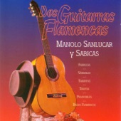 Dos guitarras flamencas artwork