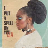 I Put a Spell on You artwork