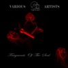 Fragments of the Soul