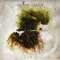 In Deep and Wooded Forests of My Youth - Xanthochroid lyrics