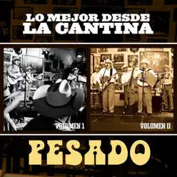 Lo Mejor Desde la Cantina (Live At Nuevo León México - 2009) [Audio Version] - Pesado