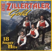 Die Zillertaler - Danke
