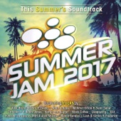 Summer Jam 2017 artwork