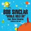 Word Hold on (Children of the Sky) [Radio Edit] [feat. Steve Edwards] - Single