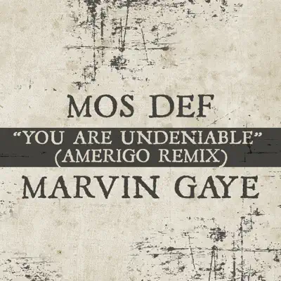 You Are Undeniable (Amerigo Remix) - Single - Marvin Gaye