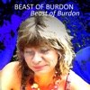 Beast of Burdon - Single