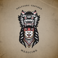 Wolfgang Gartner - Medicine - EP artwork