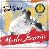 Coração de um Nordestino (feat. Mestre Toni Vargas) artwork