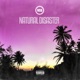 NATURAL DISASTER cover art