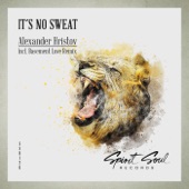 It's No Sweat (Basement Love Remix) artwork