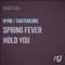 Spring Fever - Kyro lyrics