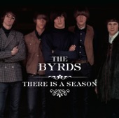 The Byrds - Lover of the Bayou