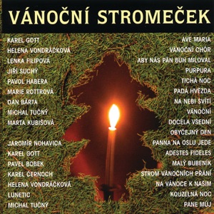 Helena Vondrackova - Vanocni (The Christmas Song)