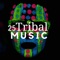 Massage Therapy Music - Holistic World lyrics
