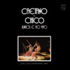 Caetano e Chico Juntos e Ao Vivo (Live 1972) artwork