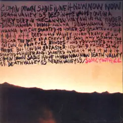 Death Valley '69 / Brave Men Run (In My Family) - Single by Sonic Youth & Lydia Lunch album reviews, ratings, credits