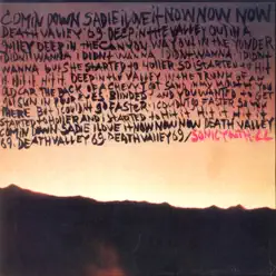 Death Valley '69 / Brave Men Run (In My Family) - Single - Sonic Youth