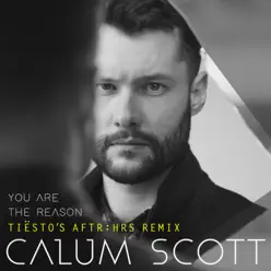 You Are the Reason (Tiësto's AFTR:HRS Remix) - Single - Calum Scott