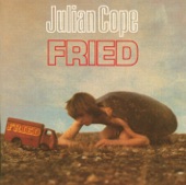 Julian Cope - Sunspots