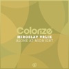 Miroslav Vrlik - Alone At Midnight (Extended Mix)