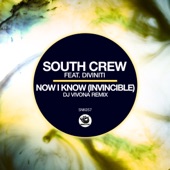 Now I Know (Invincible) [DJ Vivona Vocal Remix] artwork