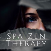 Spa Zen Therapy: Spa Treatments Mindfulness Meditation, Relaxation, Stress Relief, Instrumental New Age Music artwork