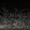 Liminal 2 - Various Artists