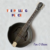 Tim O'Brien - The Polling Place