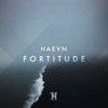 Fortitude - Single, 2017