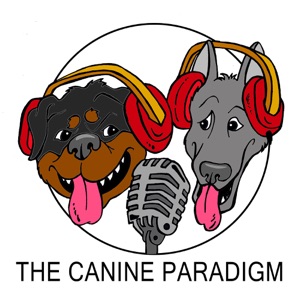 Episode 99: Dr Roger Abrantes IACP