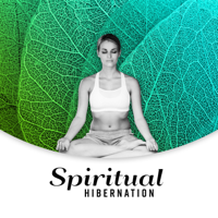 Meditation Music Zone, Spiritual Music Collection & Natural Healing Music Zone - Spiritual Hibernation: Divine Rest, Meditation Time, Full Emotional Relief, Inner Peace and Balance with Healing Hz Frequencies artwork