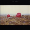 Steve Tibbetts - Forget