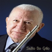 Salto do Grilo artwork