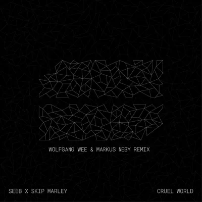 Cruel World (Wolfgang Wee & Markus Neby Remix) - Single - Seeb