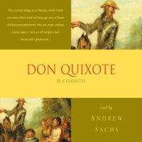 Miguel De Cervantes - Don Quixote artwork