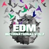 EDM International, Vol. 7