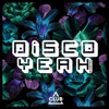 Disco Yeah!, Vol. 13