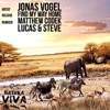 Jonas Vogel - Find My Way Home (Lucas & Steve Remix)