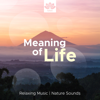 Meaning of Life: Relaxing Music, Nature Sounds, So Soft Soothing Songs for Deep Meditation and Relaxation - Reiki Healing Academy
