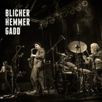 Michael Blicher, Steve Gadd & Dan Hemmer - Blicher Hemmer Gadd artwork